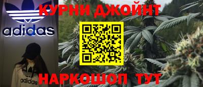 сатива Тара