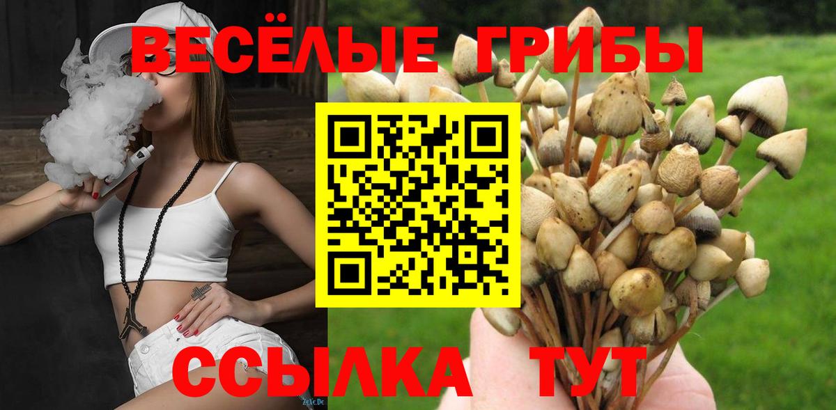 Новый Уренгой  Псилоцибиновые грибы Cubensis  Вход с VPN 