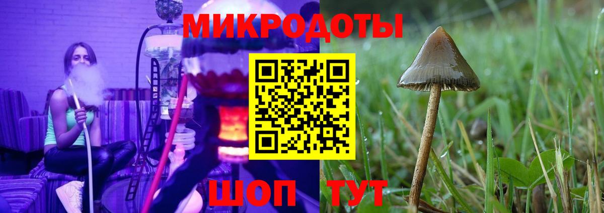 Псилоцибиновые грибы Cubensis Новый Уренгой
